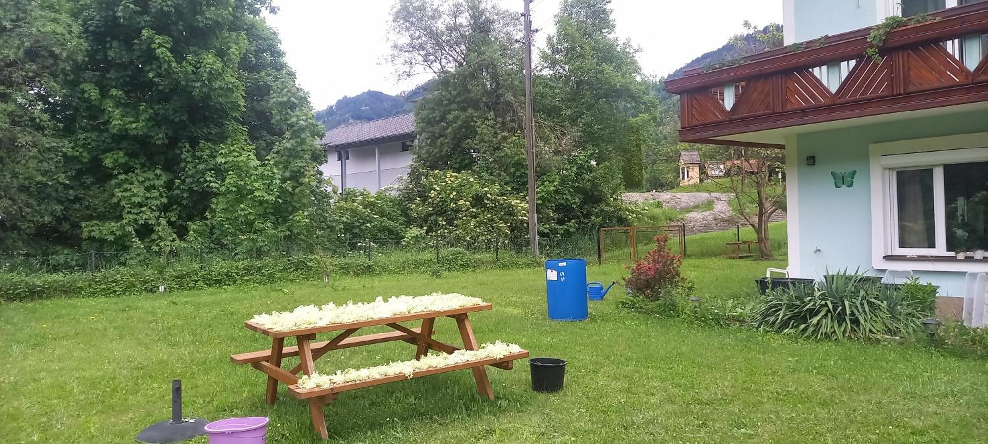 Ferienwohnung Alie Gusta Hermagor-Pressegger See Exterior foto